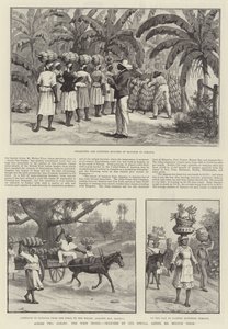 À travers deux océans, les Antilles - Melton Prior